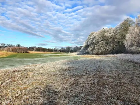 Scenic winter landscape of a frosty golf course with trees and a blue sky.